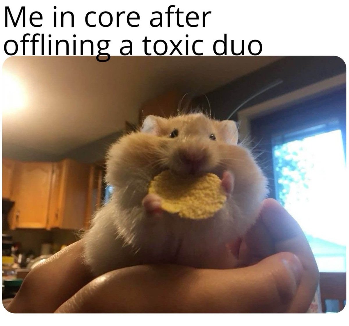 SWE_Motorizer's tweet image. #Rust