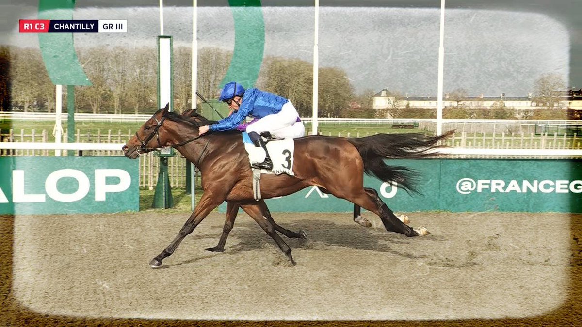 CoursesFr's tweet image. Prix Thomas Bryon (Gr. III #Chantilly) : 
Terminant très fort, AL ZANATI vient, d&apos;une accélération fulgurante, coiffer BOURBON BLUES sur le fil. Triplé britannique.
Direction Dubaï et l&apos;UAE Derby ?
#Turf #Chantilly  buff.ly/6aUMuyY