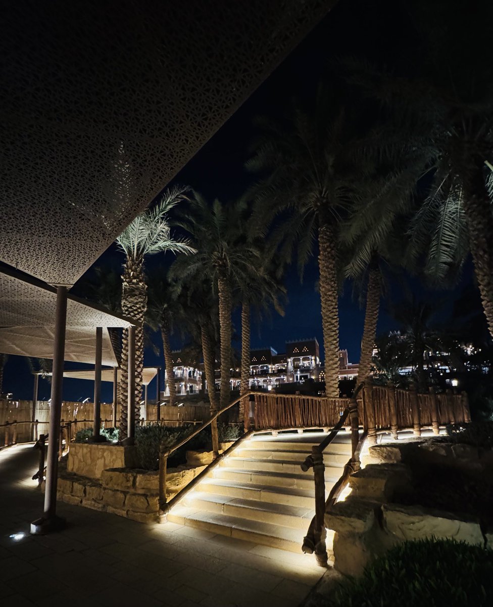 Sh_Alazzam's tweet photo. 🌴 https://t.co/7WjLu52odK