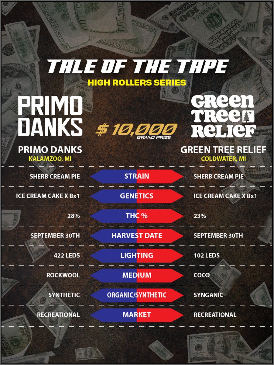 primodanks tweet media