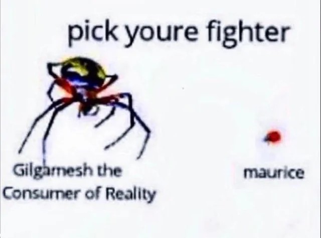 did people not realise that "Gilgamesh the consumer of reality" worked as a joke because the spider is far more intimidating than "Maurice the tiny ladybird" and they weren't just the same thing