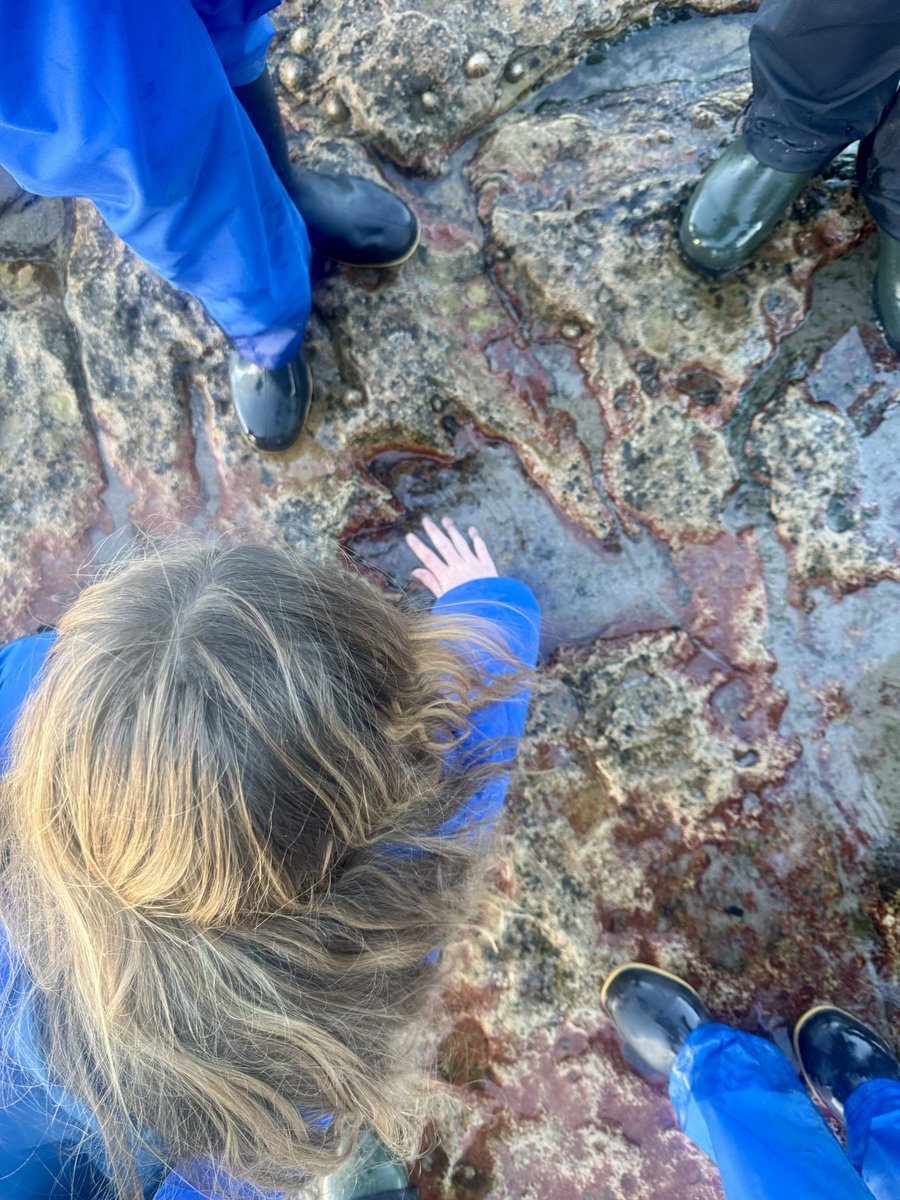 Winton Primary & EYC tweet media