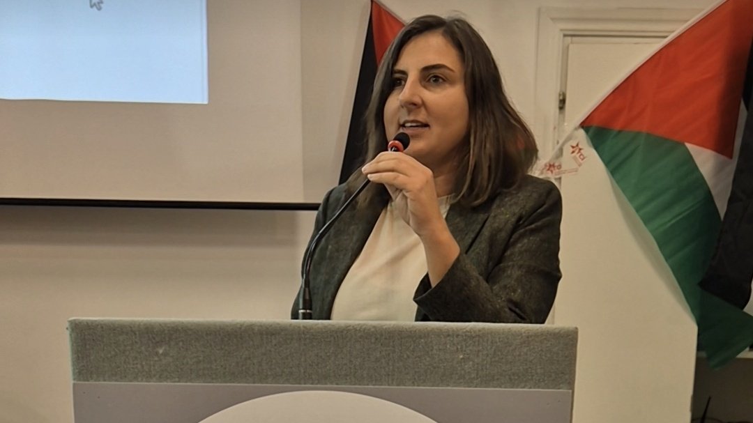 Non siamo riusciti per due anni a fermare il genocidio. Significa che non possiamo fare nulla, o nulla è stato fatto? Assolutamente no, questa è la bugia che dice chi vuole invalidare l’impegno di milioni di persone che hanno lavorato e lavorano per un reale cambiamento. <a href="/Fra0283/">Francesca Druetti</a>