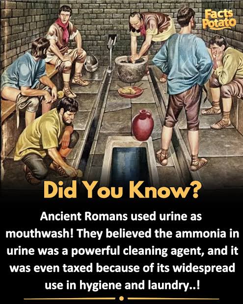 worldhistory04's tweet image. Did you know the Ancient Romans used urine as mouthwash? 🦷💦
They believed the ammonia in urine could whiten their teeth! Gross… or genius? You decide!”