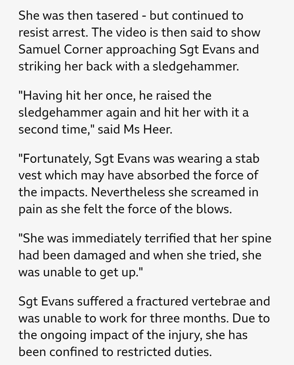 Worth reading if you have any doubt that Palestine Action is a haven for the sadistic terrorists.