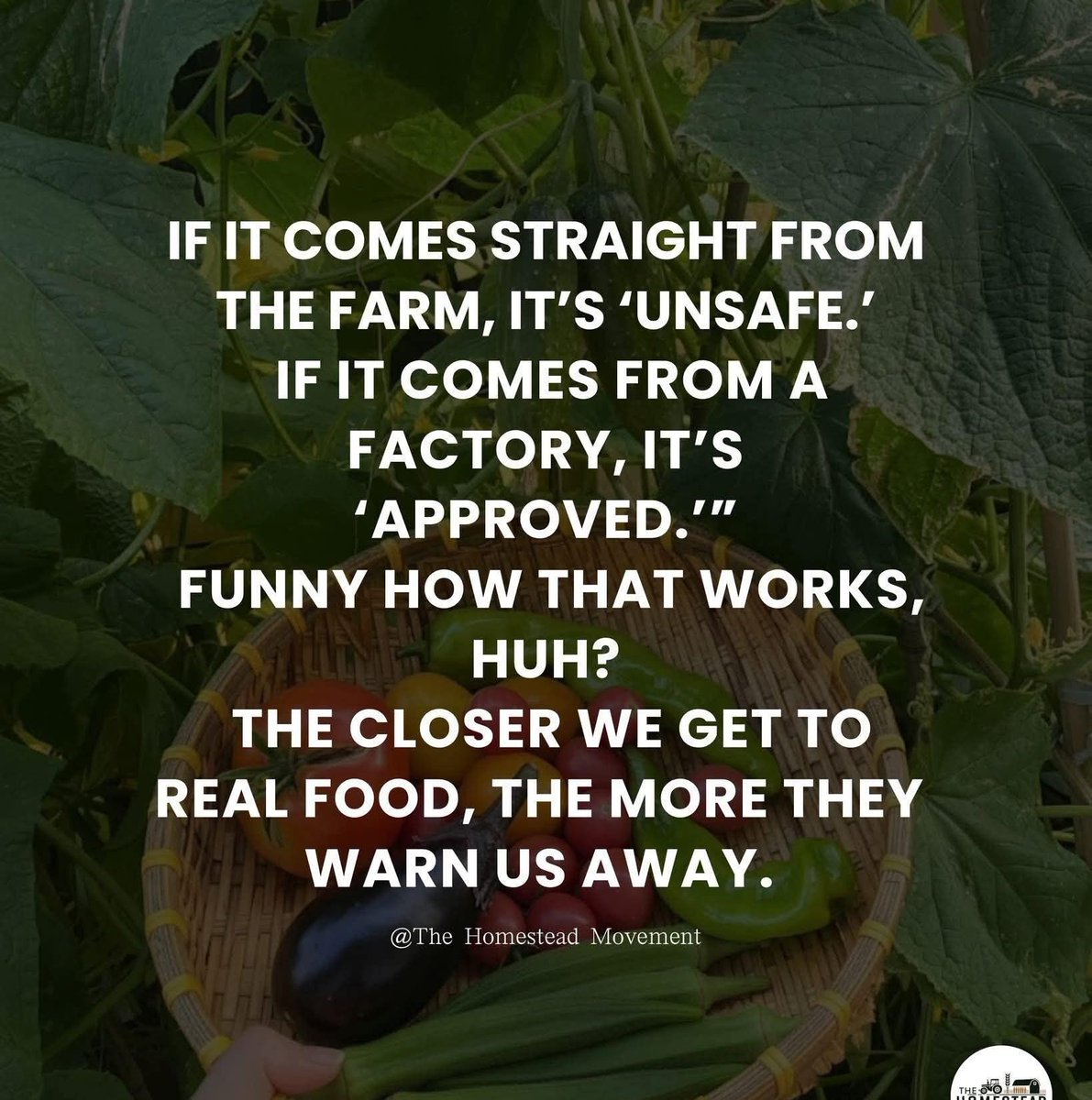 Robaroo62's tweet image. 