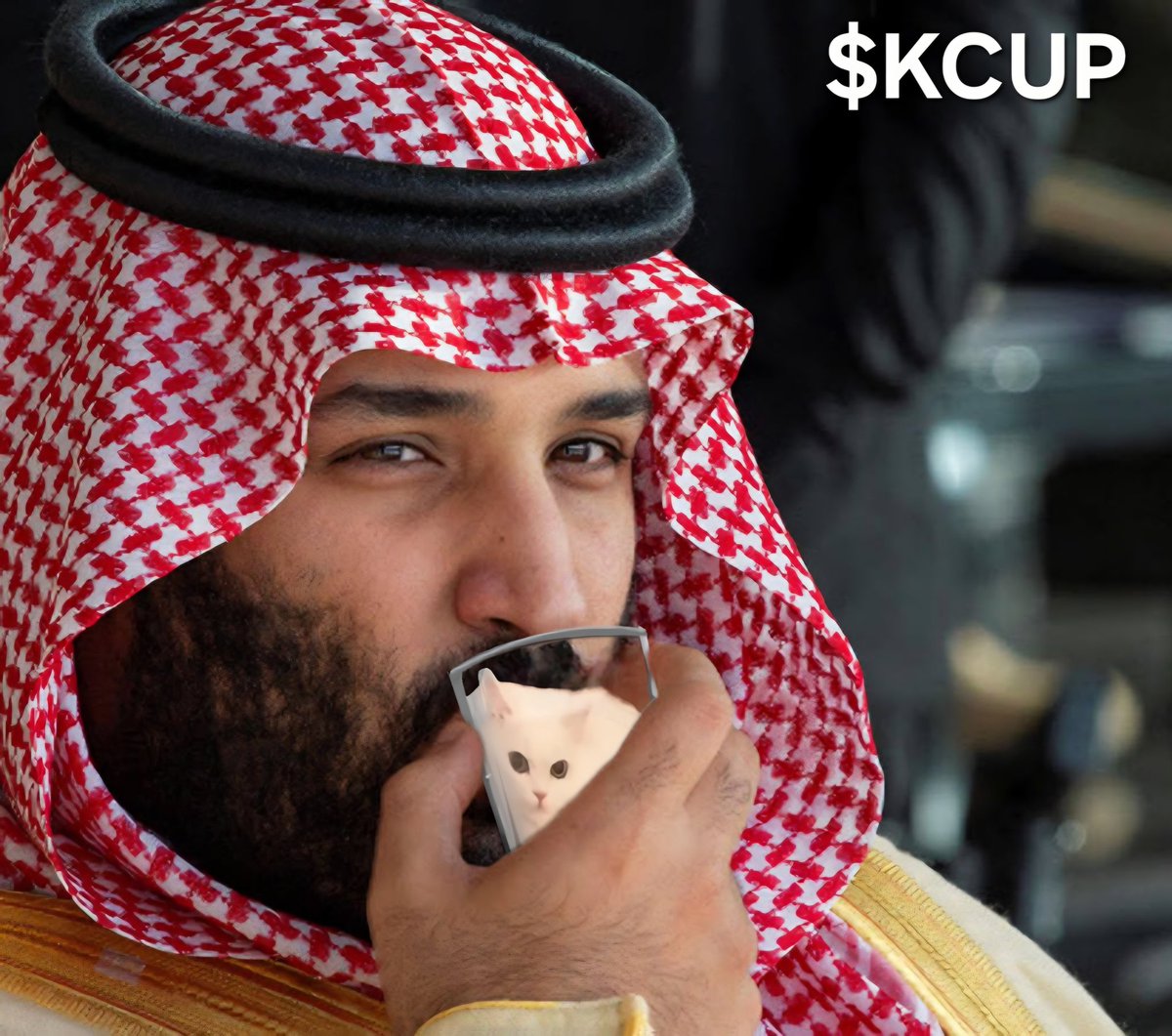 Straight into the $KCUP LP 🧠