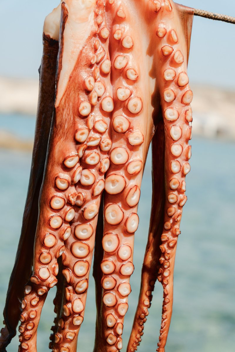 simonribc's tweet photo. From the shores of Milos https://t.co/ir1Br4tuRV