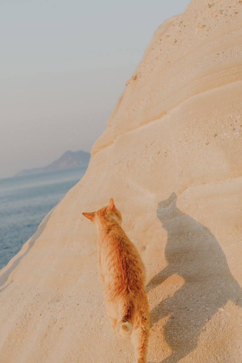 simonribc's tweet photo. From the shores of Milos https://t.co/ir1Br4tuRV