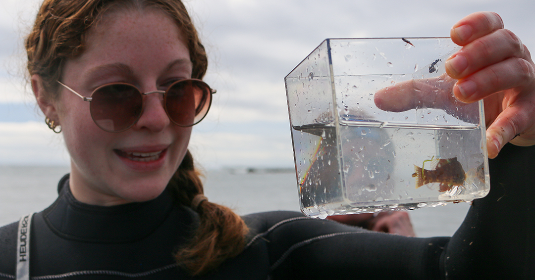 NEAQ's tweet image. Since 2016, Mike, our associate curator of aquatic collections, has been leading the Gulf Stream Orphan Project, tracking sightings of tropical fish in New England. 

Learn more: bit.ly/49ydTxv

#GulfStreamOrphans #GSOProject #Fieldwork #CitizenScience