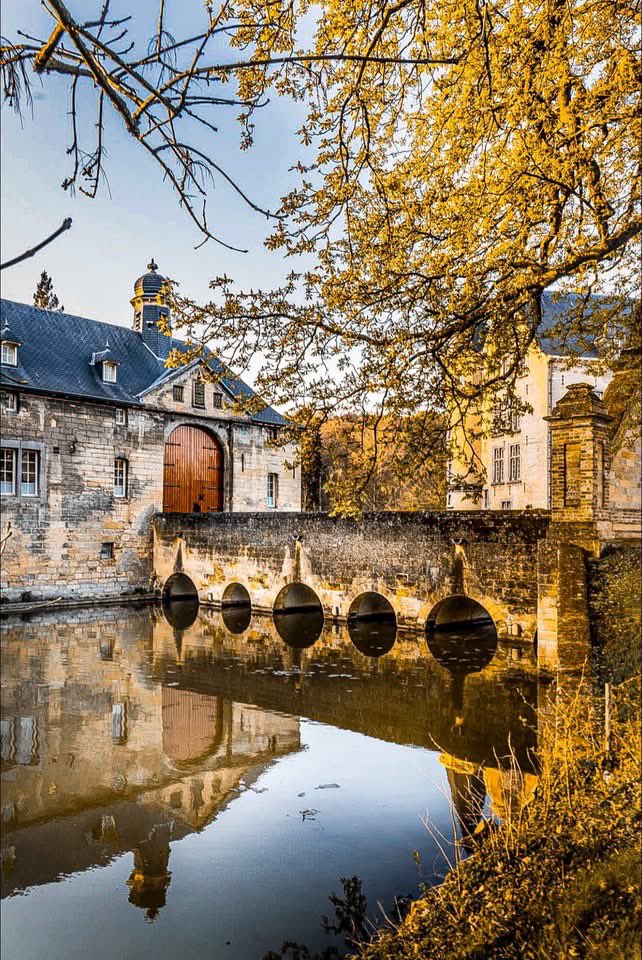 magnifiekZL's tweet image. Kasteel Schaloen #MagnifiekZL
📸: Ton van Kleijnen - Facebook