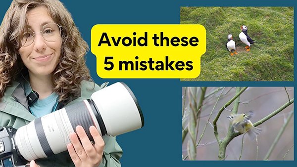 shutterbug's tweet image. Don&apos;t spoil bird photos with these fixable mistakes tinyurl.com/5c4dwdcn (VIDEO)