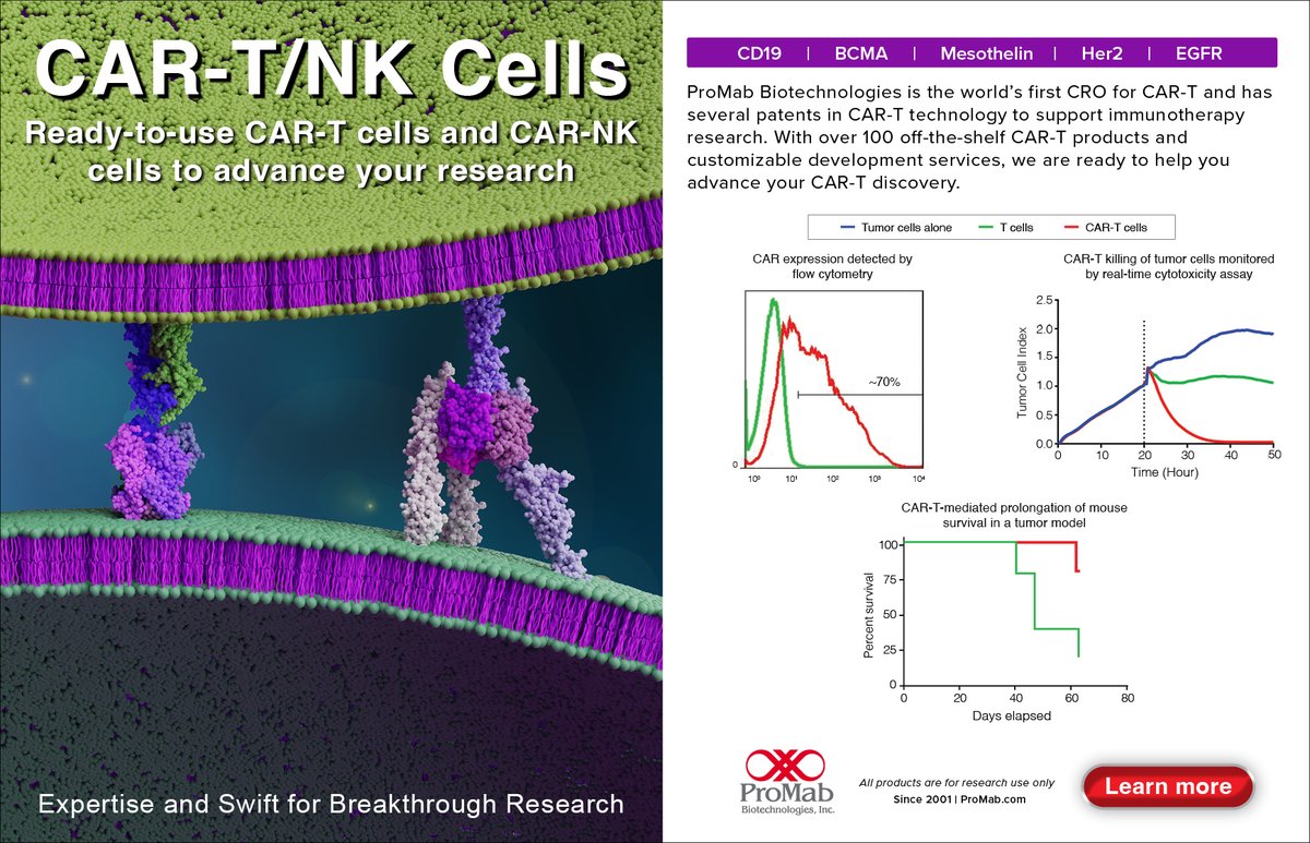 ProMabBiotech's tweet image. 🚀 🔬🧬🚀 Accelerate your immunotherapy research with ready-to-use CAR-T &amp;amp; CAR-NK cells.
100+ off-the-shelf products + custom development. 👉📈 🔗 Learn more: na2.hubs.ly/H026dP20