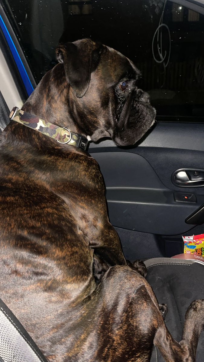 Hayley found this black boxer in Charleston earlier, he was lost &amp; scared. We’ve been into Parkside Vets next to Beechie and they’ve phoned to say his chip is out of date. We want to try and get him back to his owner ASAP. Please share.