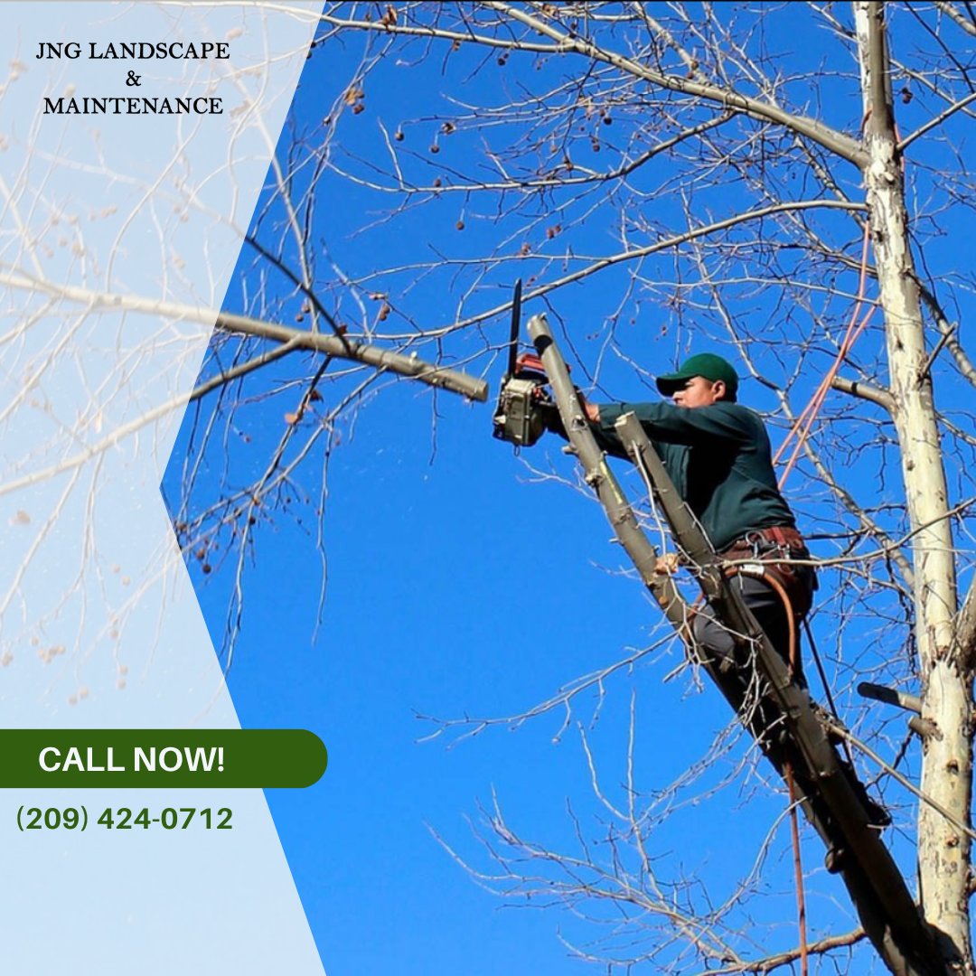 JNGLandscapeMai's tweet image. Our tree service team works hard to keep your property safe and beautiful. From pruning to full removals, we handle trees of all sizes with expert care. Call today to schedule your tree maintenance! #TreeService
jnglandscapeandmaintenanceturlock.com/tree-service