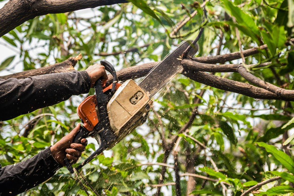 DavisSonsTree's tweet image. Storms can strike at any time, but we&apos;re ready to respond quickly with emergency tree removal when you need it most. We handle fallen or hazardous trees rapidly to keep your home safe. Call us now!
#EmergencyTreeRemoval
maplevalleytreeservices.com/contact