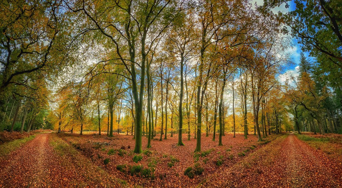 Ninebarrow tweet media