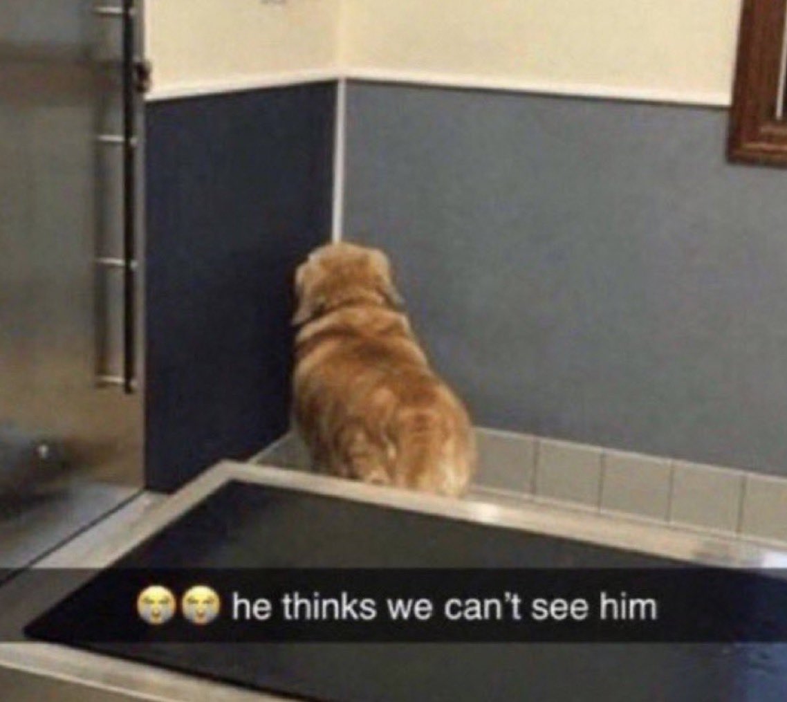 AkanjiSZN_'s tweet image. Ronaldo fans impersonating that they are Argentine now 😭😭