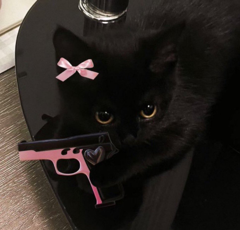 anshcsgo's tweet image. i need a black cat so bad
