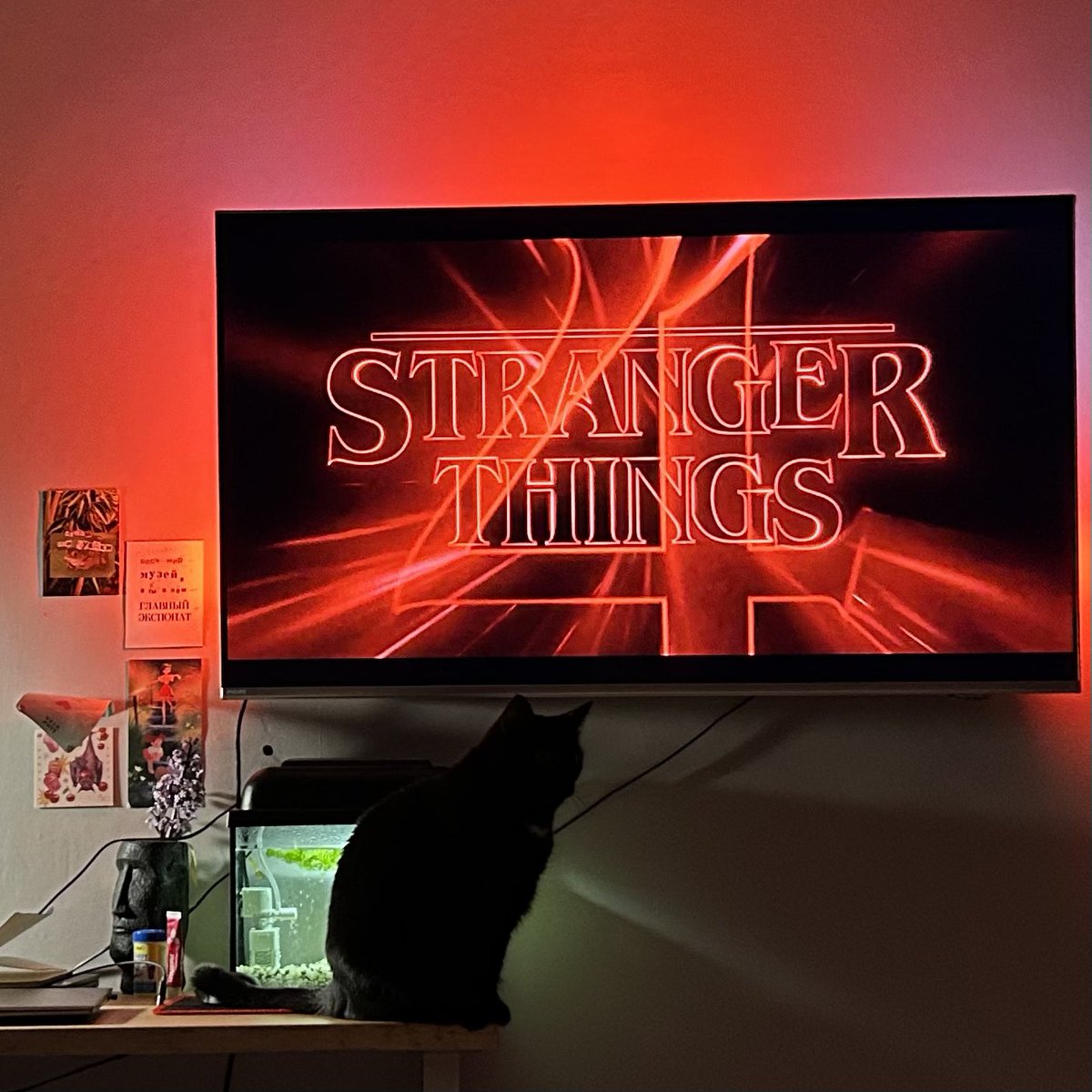 Yo, i’m getting ready for $ST launch. Still got 8 days to finish season. Who’s watching rn too?

Can’t wait to see the site, finally 🔴🐈‍⬛