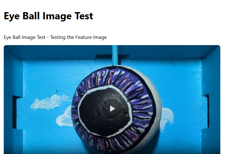 muulti_space's tweet image. Gm everyone 📺🎟️

Video panels will now take you to a feature page for the video when you give it a feature image.

Video panels also have feature images, now.