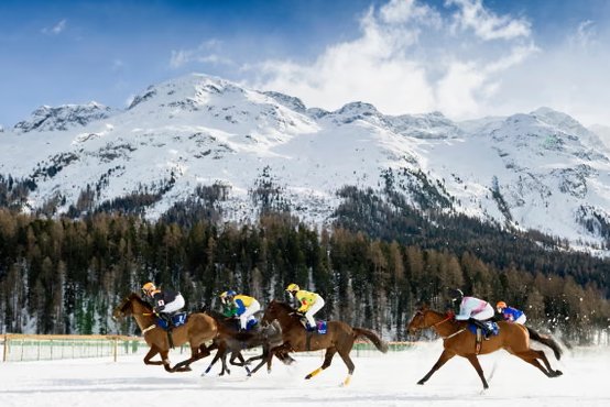 📢 📢 

We've published our latest Newsletter - Edition 95

Dubai, France and St Moritz all feature in this episode - variety guaranteed at Dominion Racing Stables!

Follow the link to read all about it!

👇
shorturl.at/KjLfw