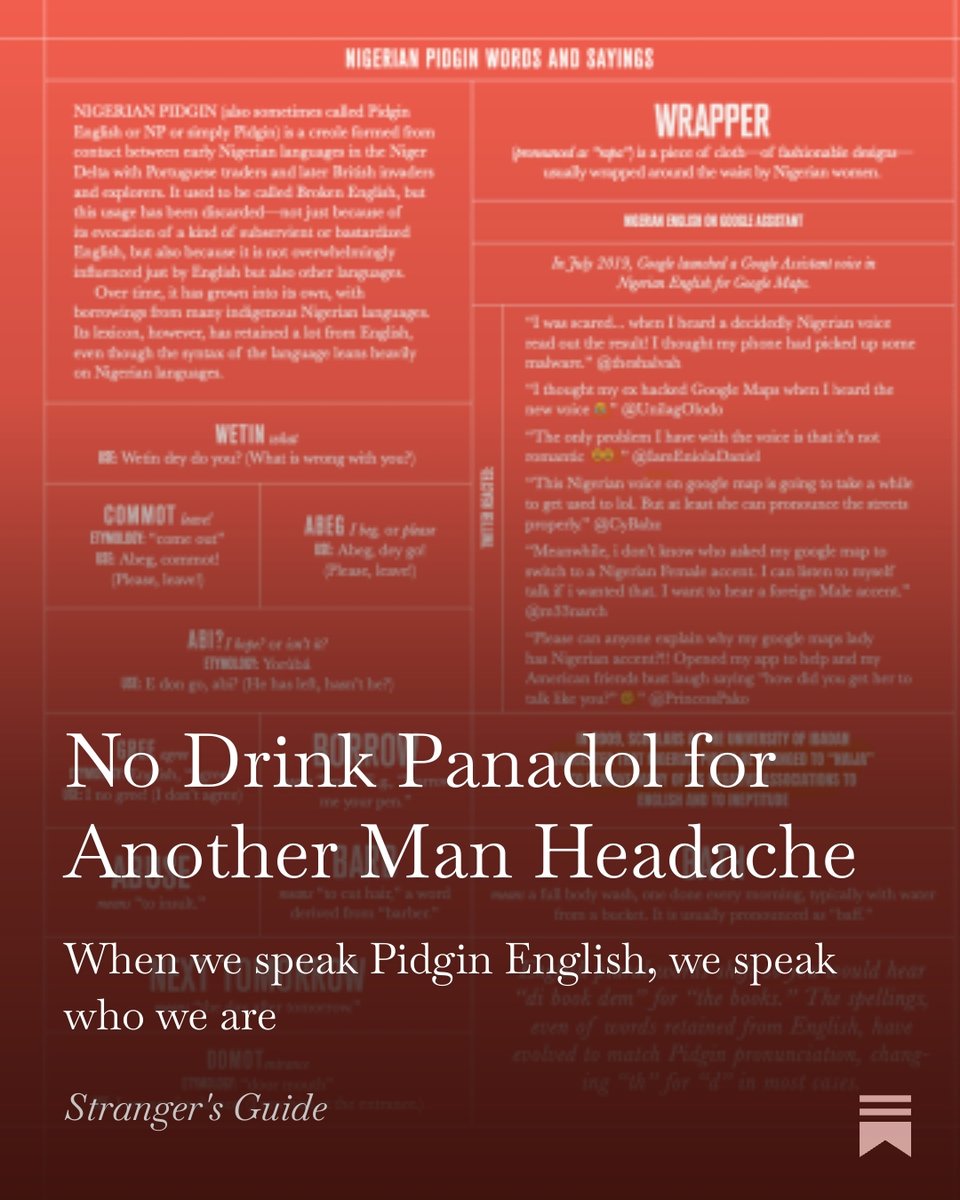 Stranger's Guide tweet media