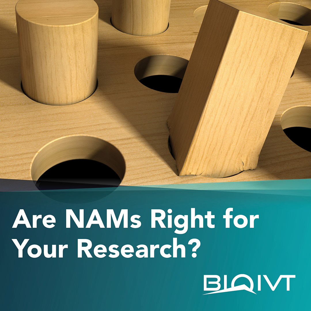 BioIVT's tweet image. #NewApproachMethodologies include a broad suite of tools that span all of R&amp;amp;D. Learn about strategically utilizing #NAMs based on the question you’re asking, model applicability, &amp;amp; stage of development to turn them into true assets for your program: hubs.ly/Q03Twjr50