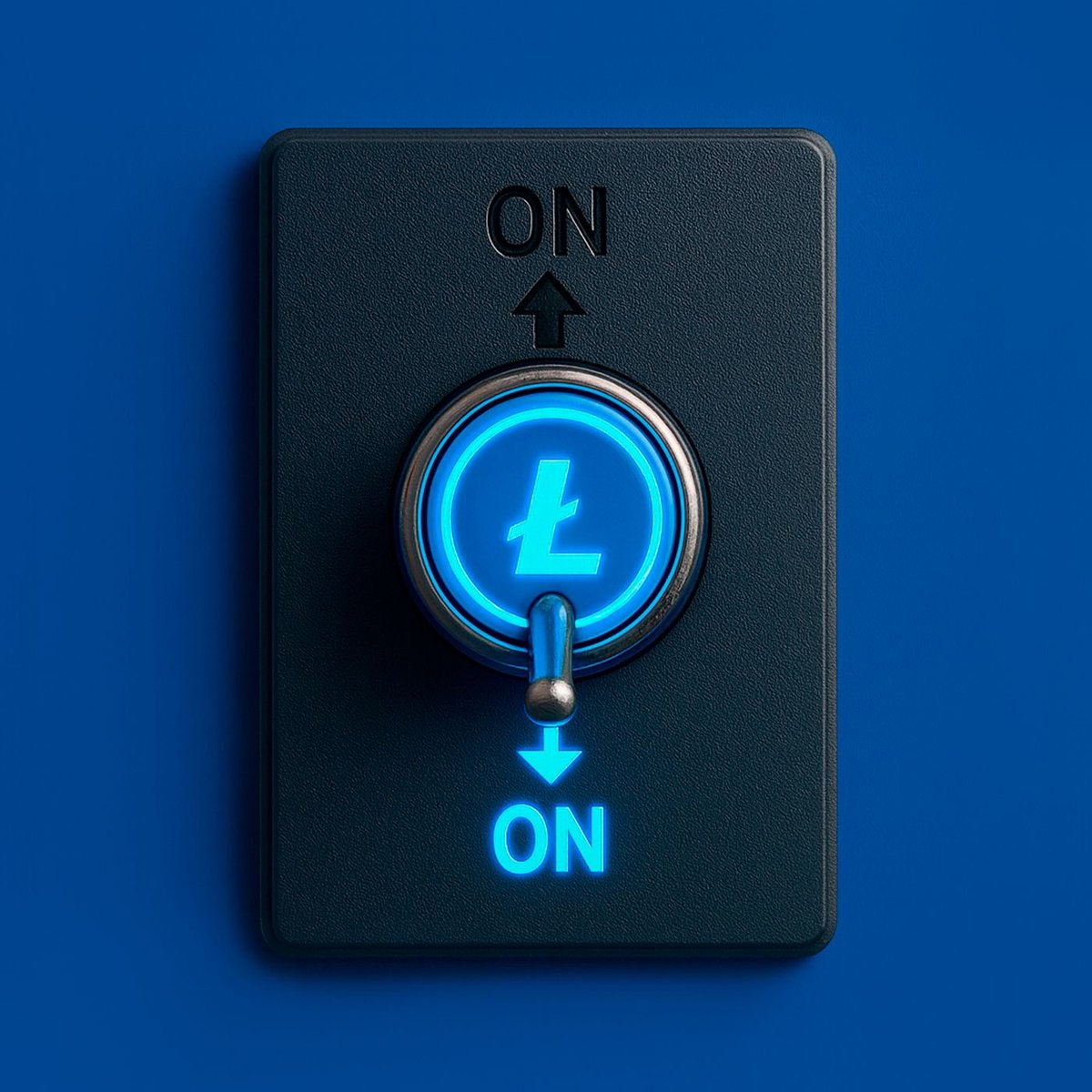 The internet may go down, the vibes may go down.

But you know what has never gone down? Litecoin network.