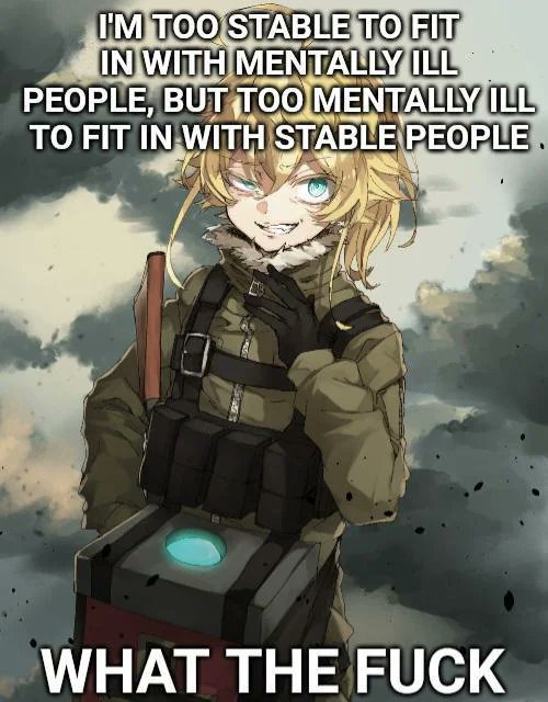 Rate my mental state on a scale 1-100 (1 being sane and 100 being insane)