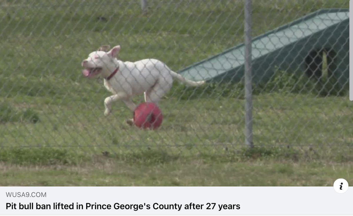 Arin Greenwood tweet media