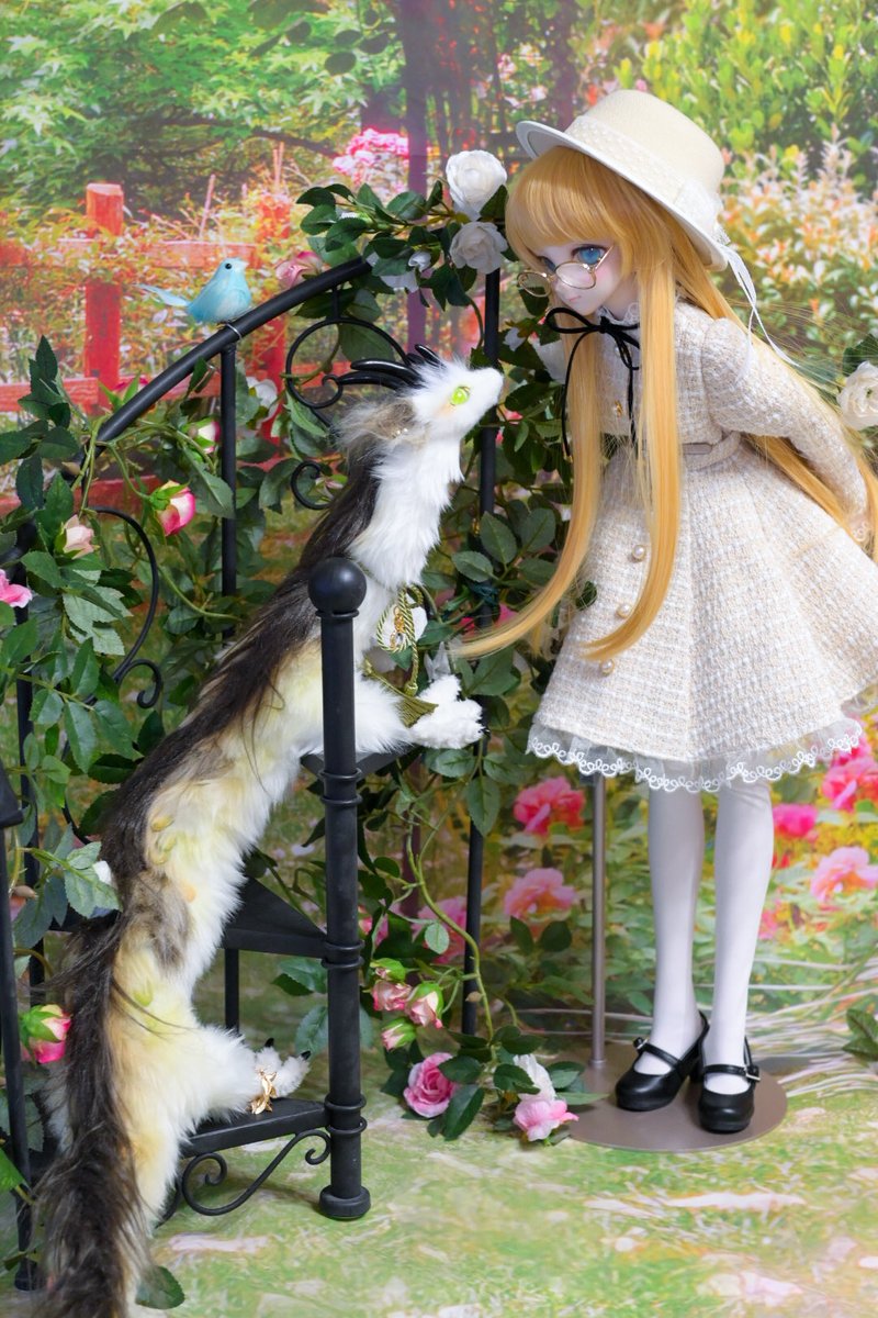 おはようございます☀
11月19日水曜日。昨日夜はXに接続しづらかったりしましたが、なんだったんでしょうね〜📡