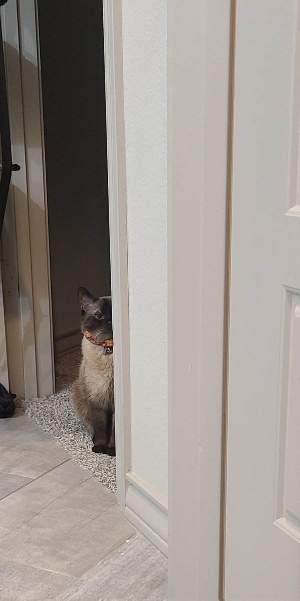 Remishell 🦇💜 tweet media