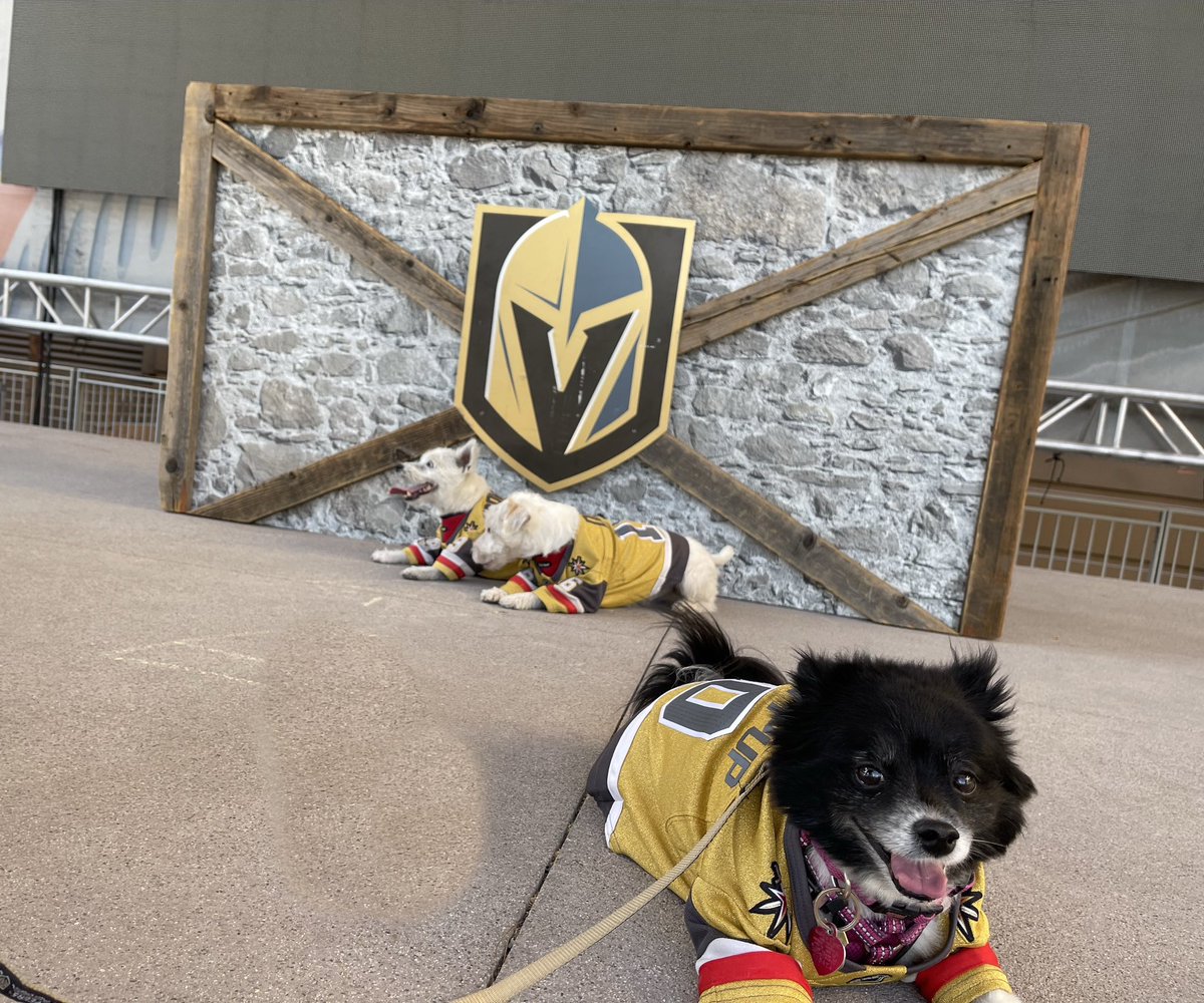 VGKPandaPup's tweet photo. ToKnight I stand behind @BarkAndreFurry & @DekeHenriFurry in the fight against cancer. The bipeds & I are sponsoring a stuffy, and we encourage #VegasBorn to do the same! At the same time, give me a #LuckyVGKNoseBoop & #ABoopAgainstCancer!
#VGK9Krew
#PuckCancer
❤️🐼🐶 https://t.co/PwcwSaRLoV