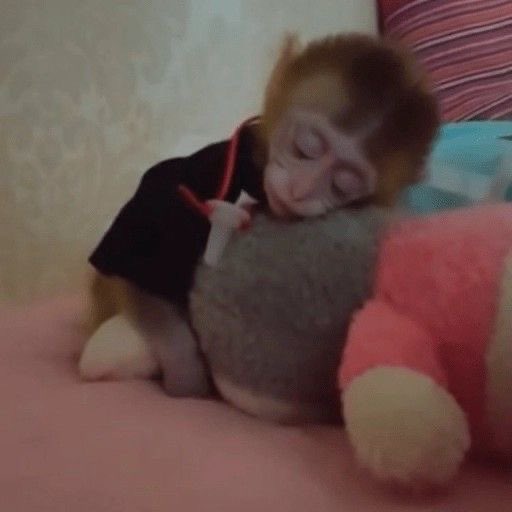 insomanias's tweet photo. Goodnight mykiebin world #mesleep https://t.co/HiBDEIXATh