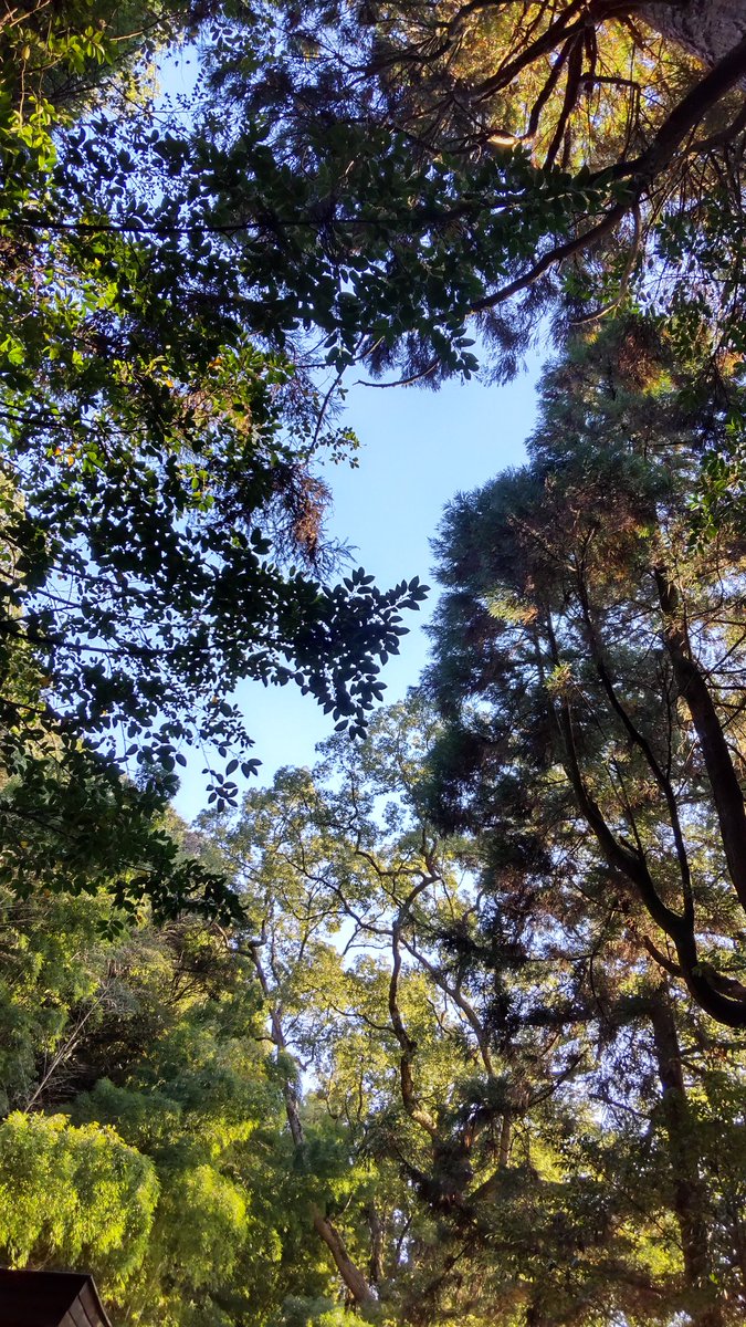 おはようございます。