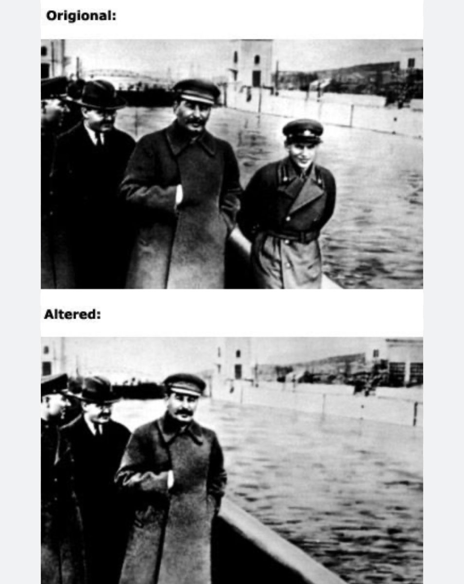 opticnerve tweet media