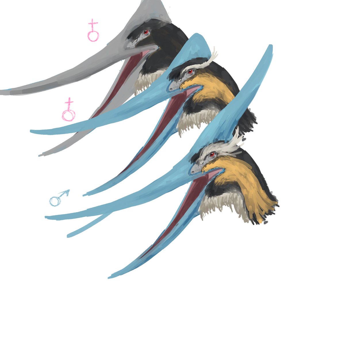 In the light of recent event