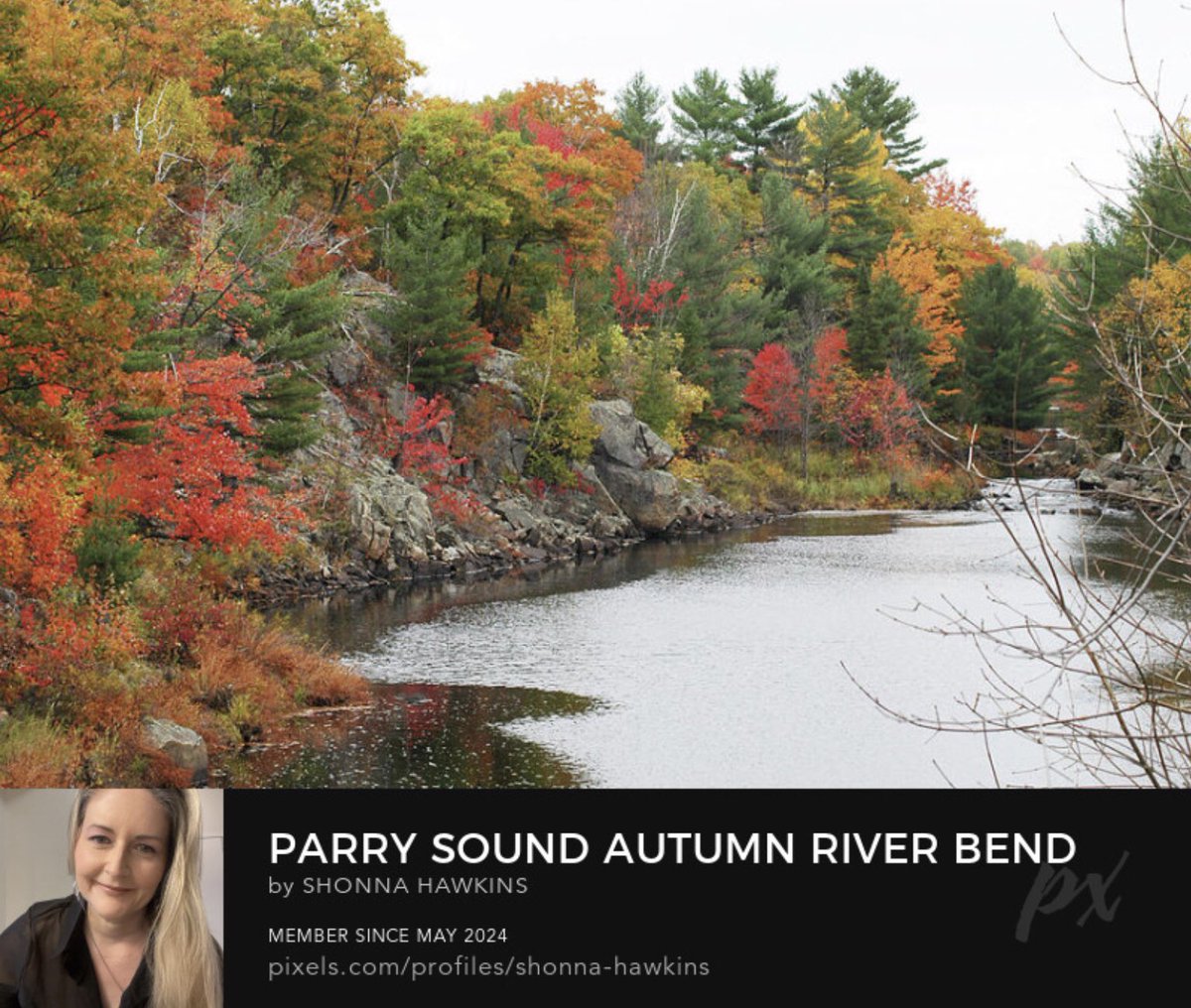 Parry Sound Autumn River Bend shonna-hawkins.pixels.com/featured/parry…

A serene river scene captures the vibrant colours of autumn foliage. The lush trees in shades of red, yellow, and orange frame the calm water.

#ParrySound #Autumn #RiverBend #Colours #ShonnaHawkinsPhotography #BuyIntoArt