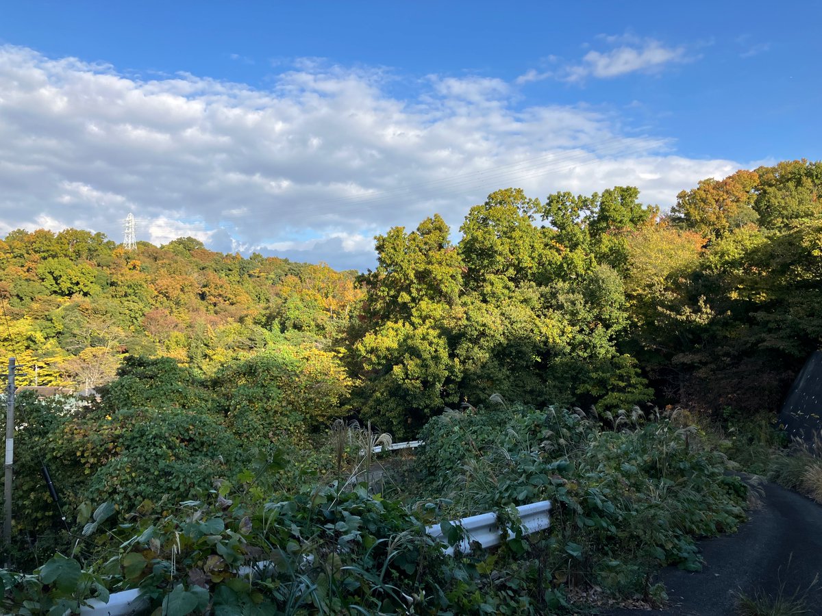 e_n_u_e_n_u's tweet image. みどりミドリ美都莉