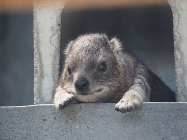 urrrinal's tweet image. thinking....