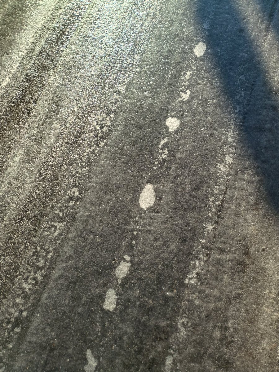 shulgee's tweet image. 今朝はツルッツル。2センチくらい滑ってしまって思わず声が出た