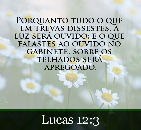 Compartilhe um versículo.