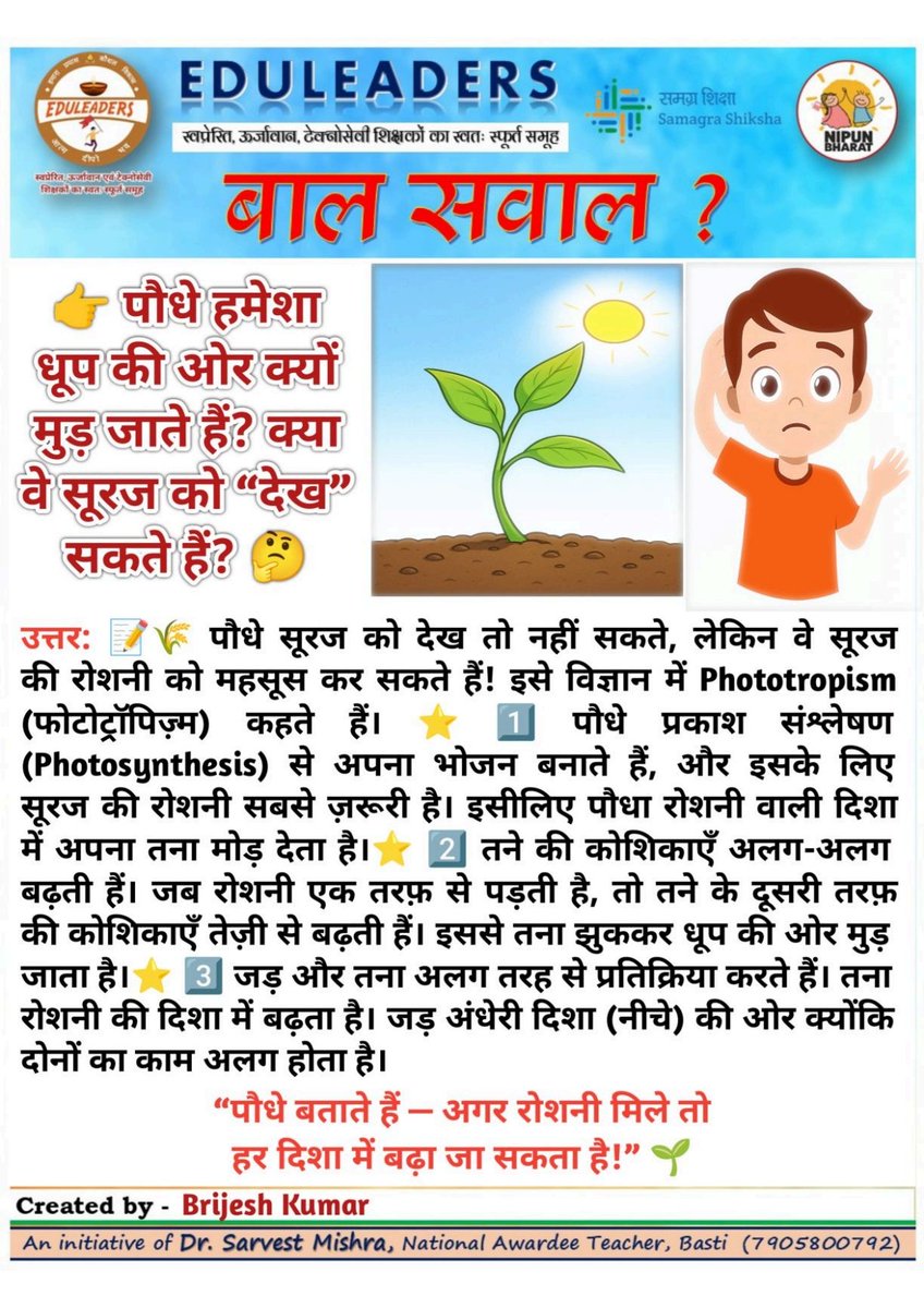 #बूझ_भाई_बूझ_945
#बाल_सवाल_900
#कार्यपत्रक भाषा एवम् गणित
〰️〰️〰️〰️〰️〰️〰️〰️
<a href="/thisissanjubjp/">Sandeep Singh</a>
<a href="/basicshiksha_up/">Department Of Basic Education Uttar Pradesh</a>  
<a href="/SarvendraEdu/">Sarvendra Vikram</a> 
<a href="/i_tweetu/">Lalita Pradeep</a> 
<a href="/sarvestkumar/">Dr Sarvest Mishra (National Awardee Teacher)</a>
#निपुणयूपी