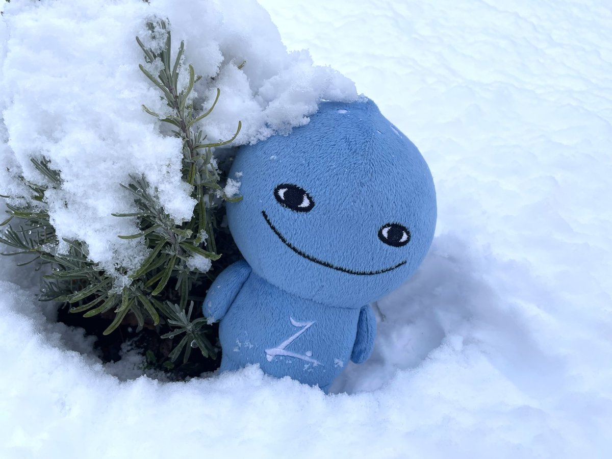 misatonomizumo's tweet image. 今朝は雪が降ったよ⛄️
ラベンダーにも雪の帽子❄️

ミズモ、今年の冬も体調に気をつけて楽しい🎶ウインターシーズン🎿にしようと思ってる！

インフルエンザも流行ってきているので、みんなも体調管理には十分気をつけて元気に過ごそうね！

#美郷のミズモ
#雪
#インフルエンザ
#秋田県美郷町