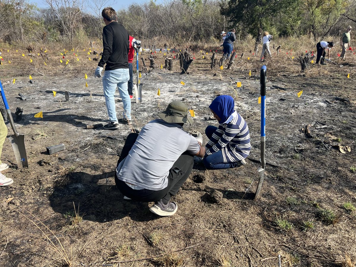 Huffines MS tweet media