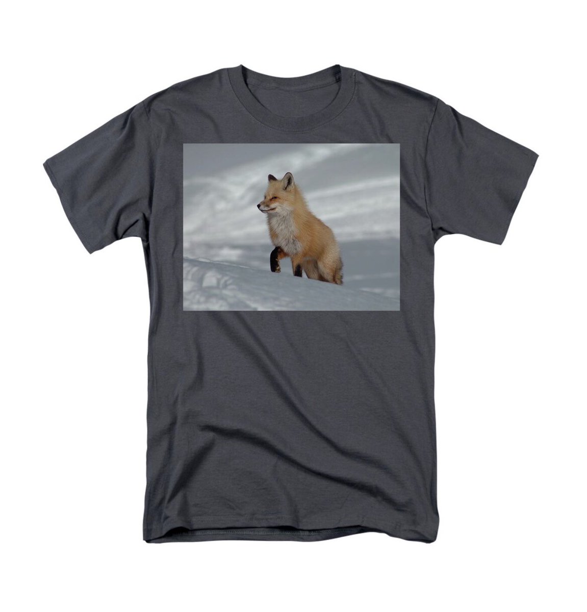 Fox in Snowy Landscape by Shonna Hawkins

50% off ALL APPAREL today only!

This is a Mens Regular fit, find your size.
30 day money back guarantee.

#BuyIntoArt 

shonna-hawkins.pixels.com/featured/fox-i…