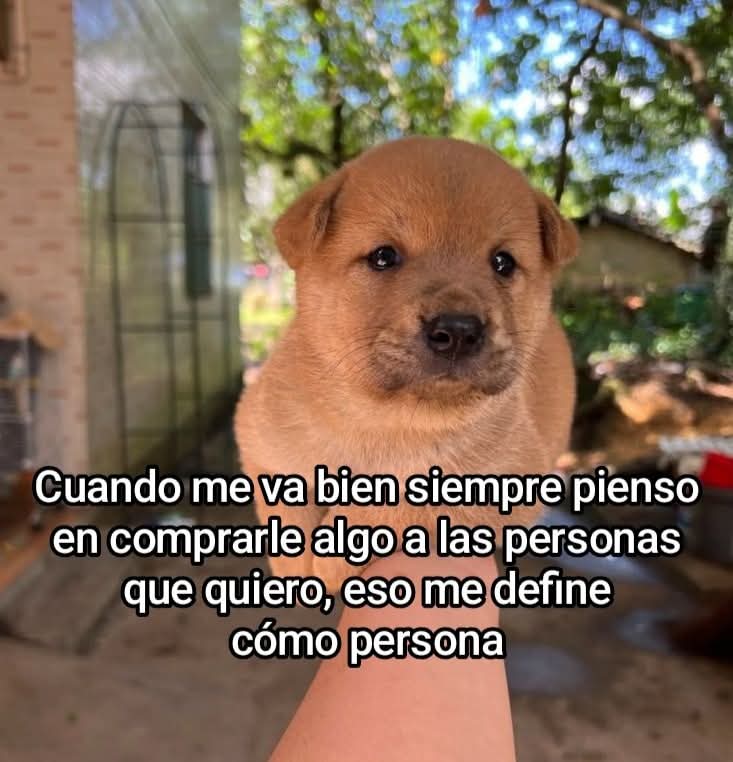 elineus_medio_dormido (@elineus_dormido) on Twitter photo 