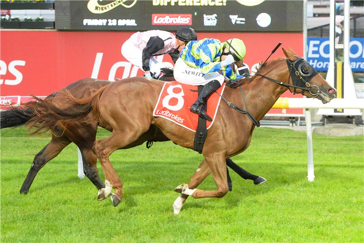 MacBetTips's tweet image. More midweek metro action! 🚨

Early previews and mounting yard mail across Caulfield, Doomben and Canterbury ready for your Wednesday! 🔥 

Grab the gear &amp;amp; more @ macbet.com.au