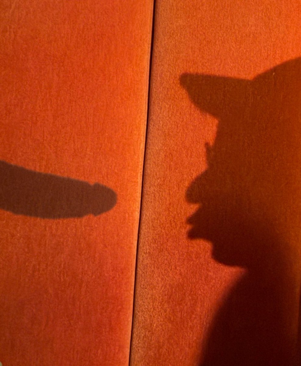 Cryptofungus (@cryptofung) on Twitter photo 